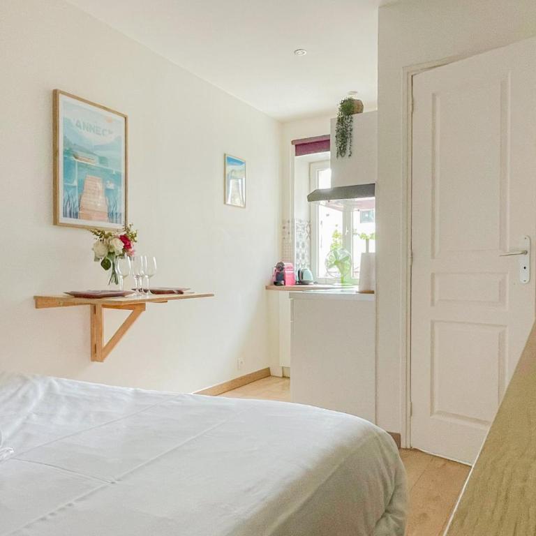 Canopee rue Carnot Annecy - Studio - 8