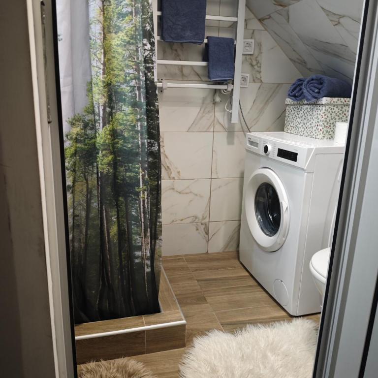 Dunja Apartmans - Apartman sa 1 Spavaćom Sobom - 7