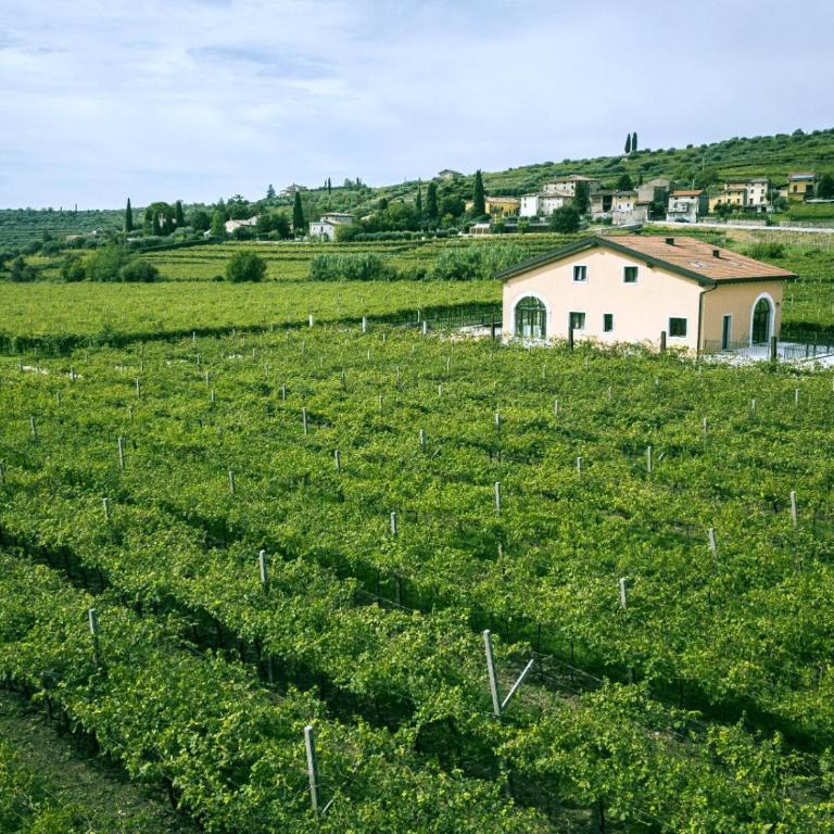 Agriturismo Igino - Camere fra Vigneti della Valpolicella - Camera Matrimoniale con Accesso Disabili - 5