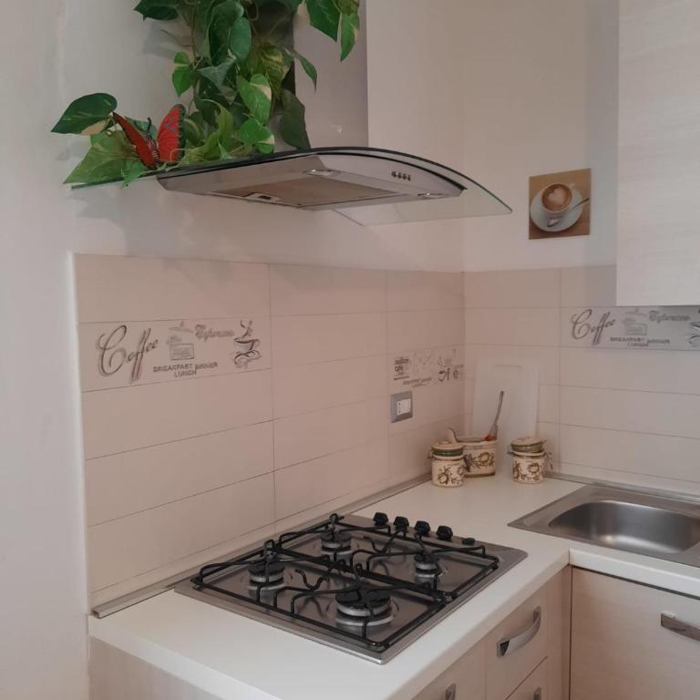 Casa Nina - One-Bedroom Apartment - 8