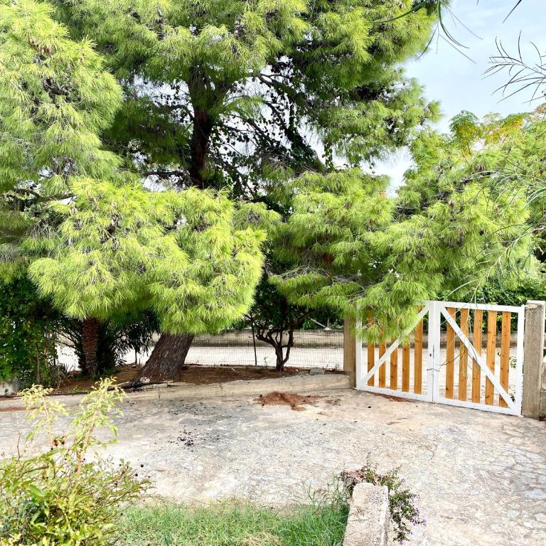 Villa Sao Scopello Punta Pispisa - Apartment mit 2 Schlafzimmern - 32