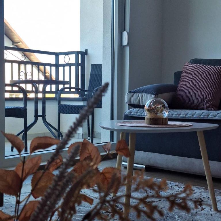 Apartman Šara Vrnjačka Banja - 5 minuta do promenade, parking, terasa - Apartman sa 1 Spavaćom Sobom - 3