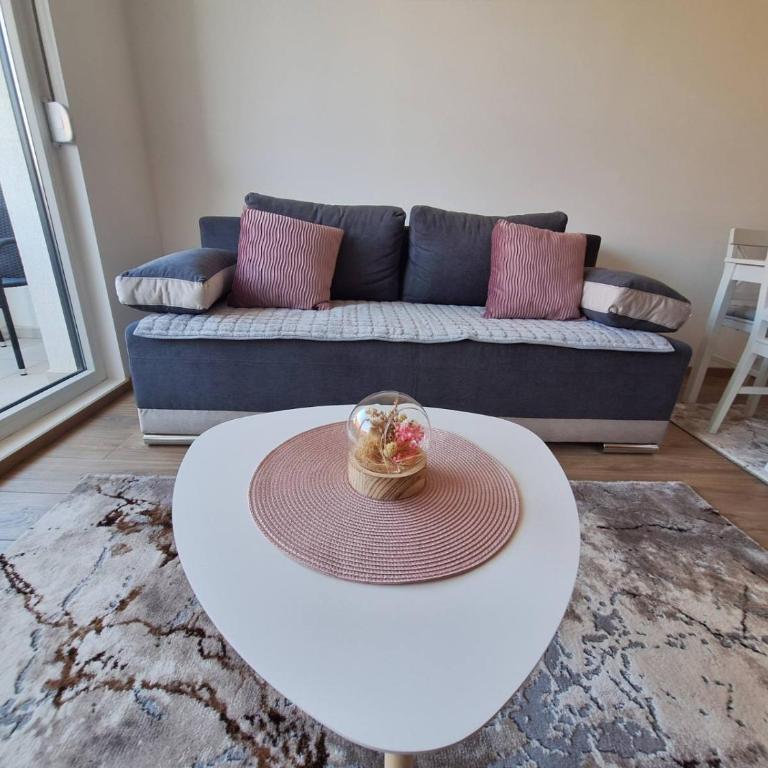 Apartman Šara Vrnjačka Banja - 5 minuta do promenade, parking, terasa - Apartman sa 1 Spavaćom Sobom - 2