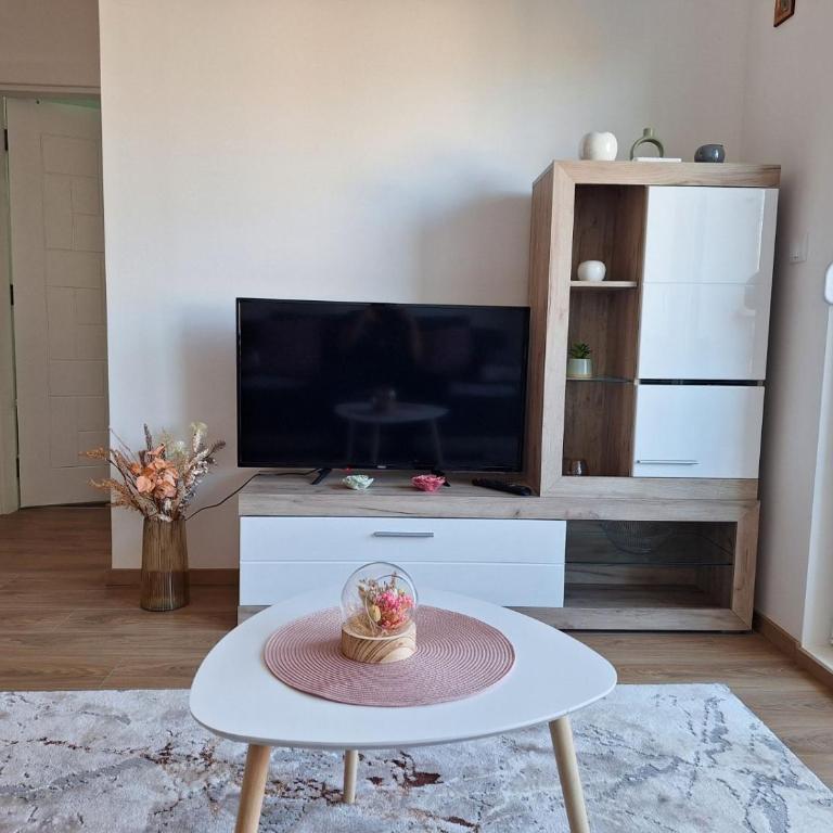 Apartman Šara Vrnjačka Banja - 5 minuta do promenade, parking, terasa - Apartman sa 1 Spavaćom Sobom - 9