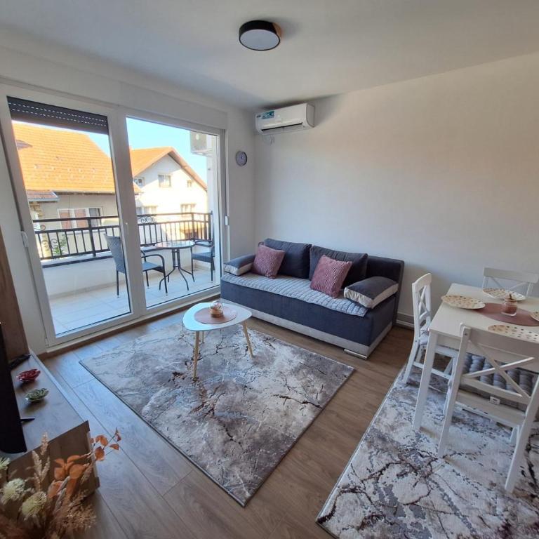 Apartman Šara Vrnjačka Banja - 5 minuta do promenade, parking, terasa - Apartman sa 1 Spavaćom Sobom - 12