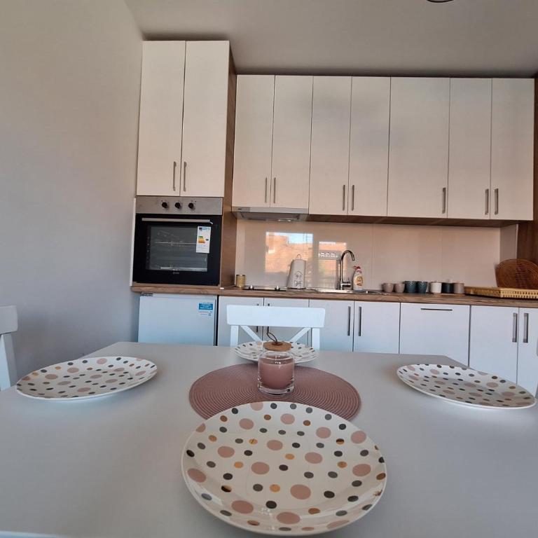 Apartman Šara Vrnjačka Banja - 5 minuta do promenade, parking, terasa - Apartman sa 1 Spavaćom Sobom - 14