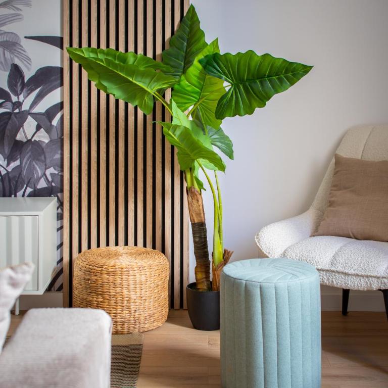 NOUVEAU Jungle Village WIFI Netflix Clim - Appartement 3 Chambres Supérieur - 12