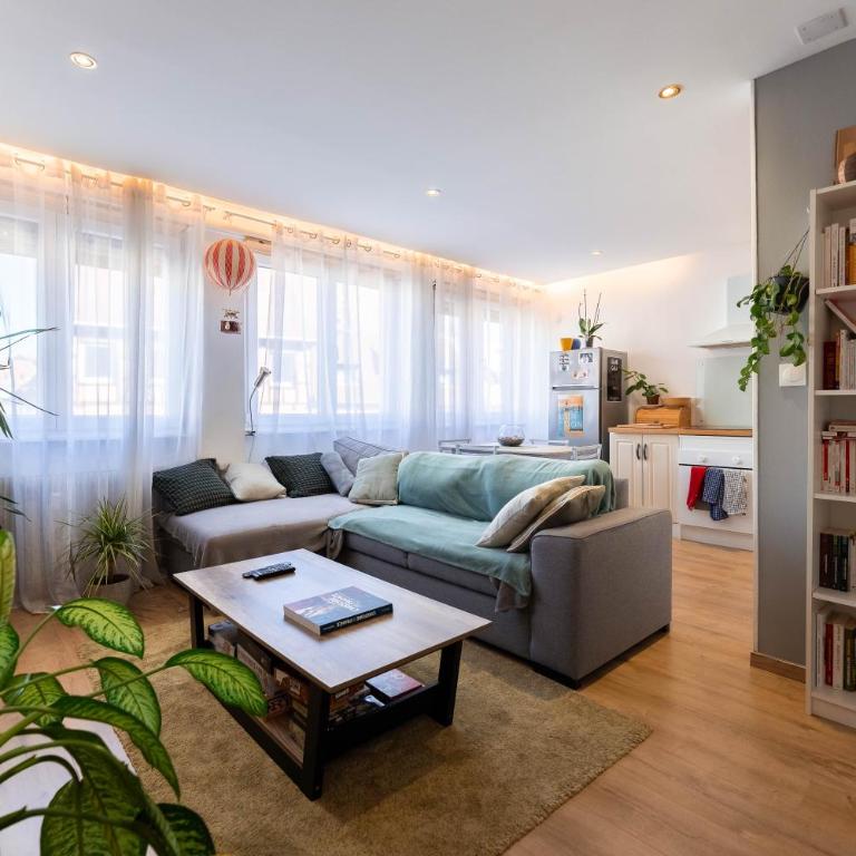Le petit Nieder - Colmar Centre - Appartement 1 Chambre - 1