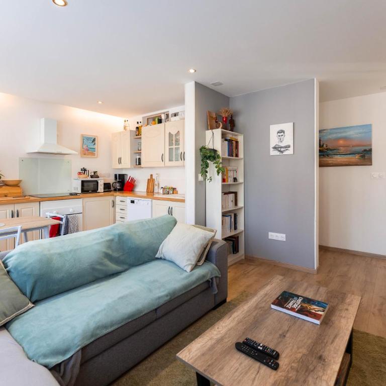 Le petit Nieder - Colmar Centre - Appartement 1 Chambre - 4