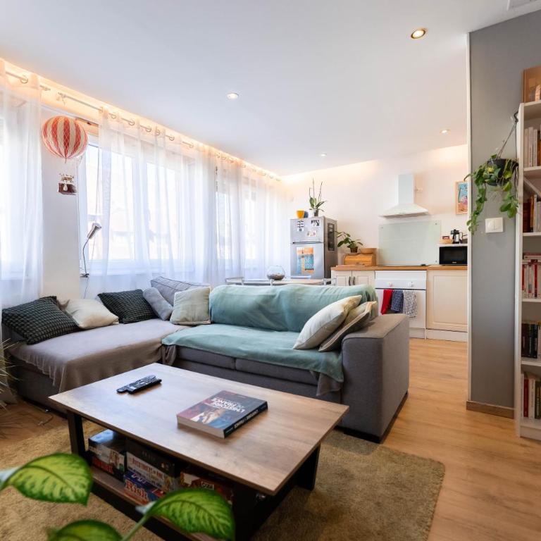 Le petit Nieder - Colmar Centre - Appartement 1 Chambre - 11