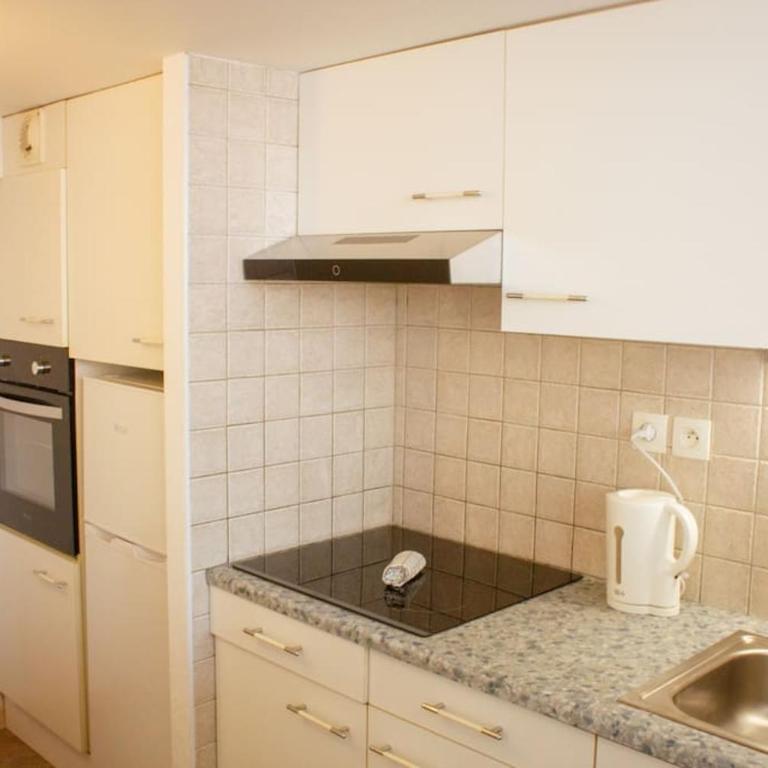 Le Sunny - Parking Entrée Privé - Apartment mit 1 Schlafzimmer - 6