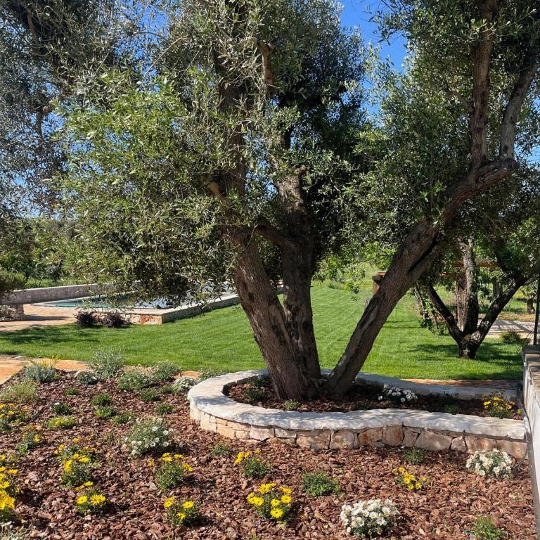 Masseria Bel Cortile - Ostuni - Villa - 34