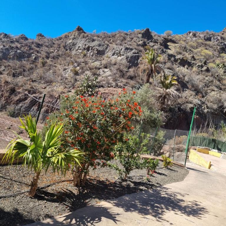 CASA PABLITO - Two-Bedroom Chalet - 20