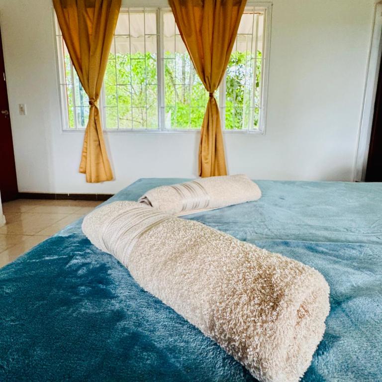 Cabaña flores en la colina - jacuzzi - Vacation Home - 18