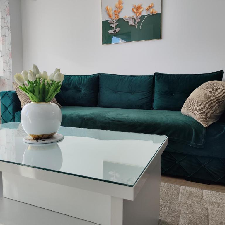 Todorovic Apartments Panorama - One-Bedroom Apartment - 15