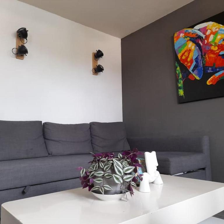 Like home, in Geneva's neighborhood - Appartement 2 Chambres - 8