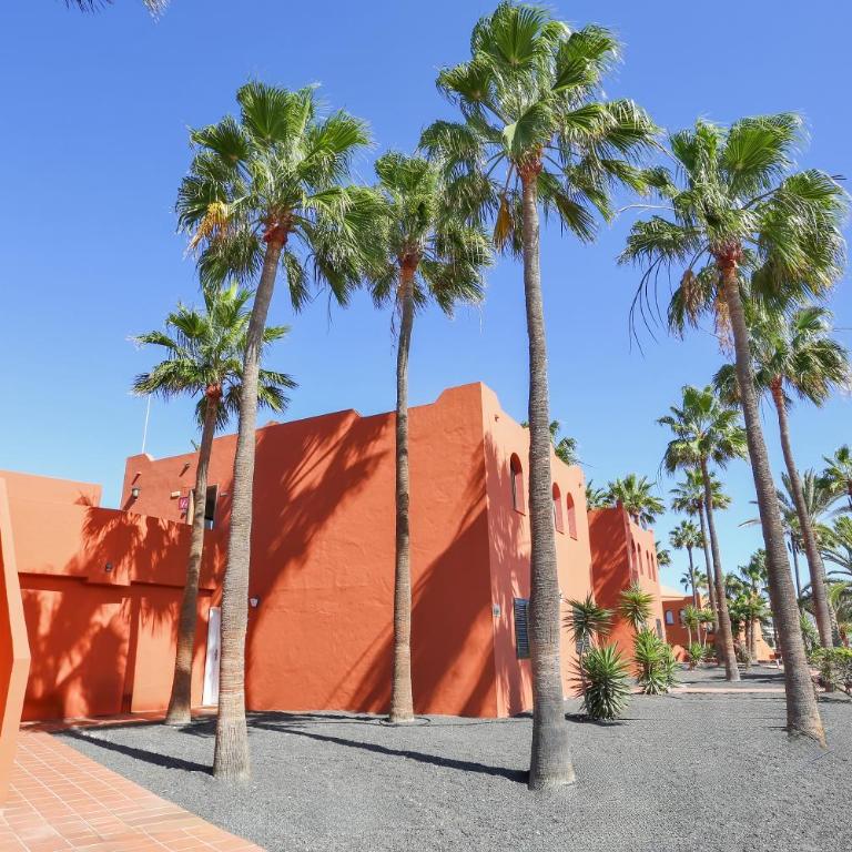 Oasis Royal - Apartamento de 1 dormitorio - 45