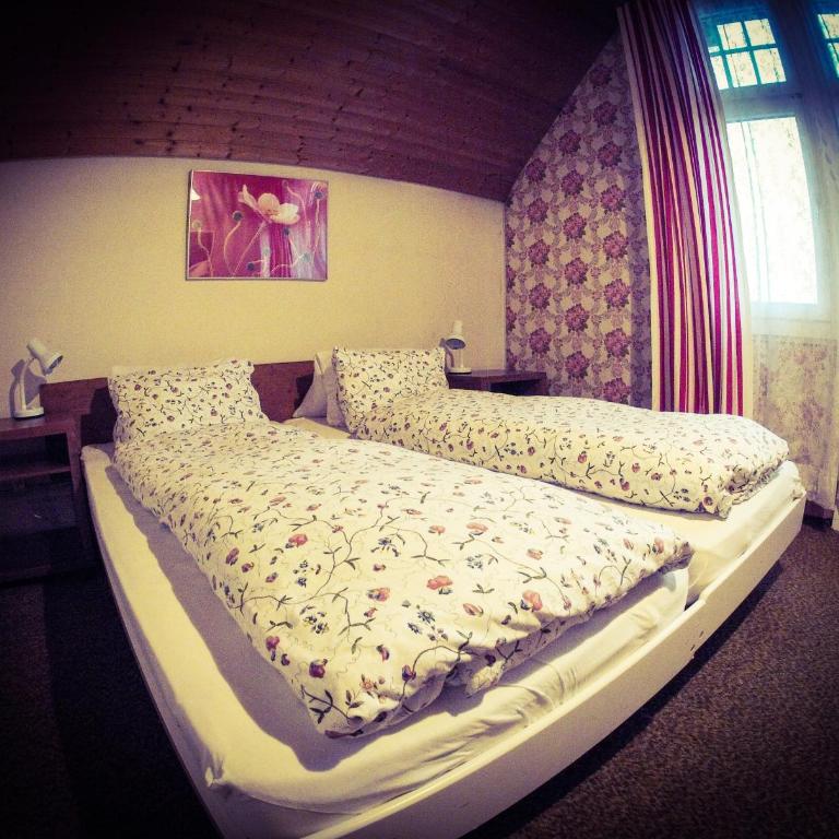 Alpina Hotel - Chambre Double avec Matelas Séparés - 17