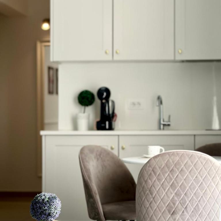 Anja apartment_City Center_ - Deluxe Apartment - 10