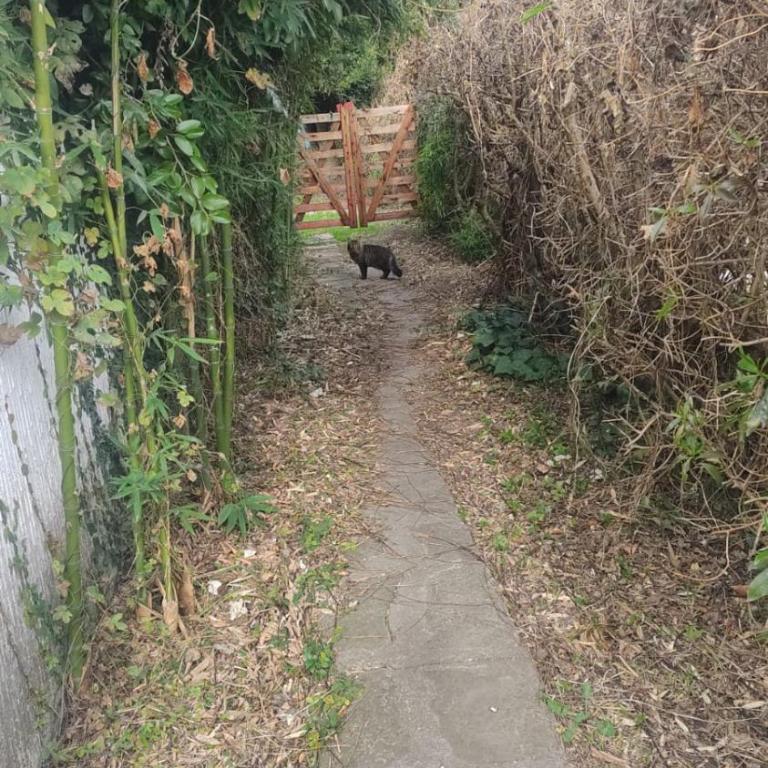 Mundo costa - Double Room with Park View - 8