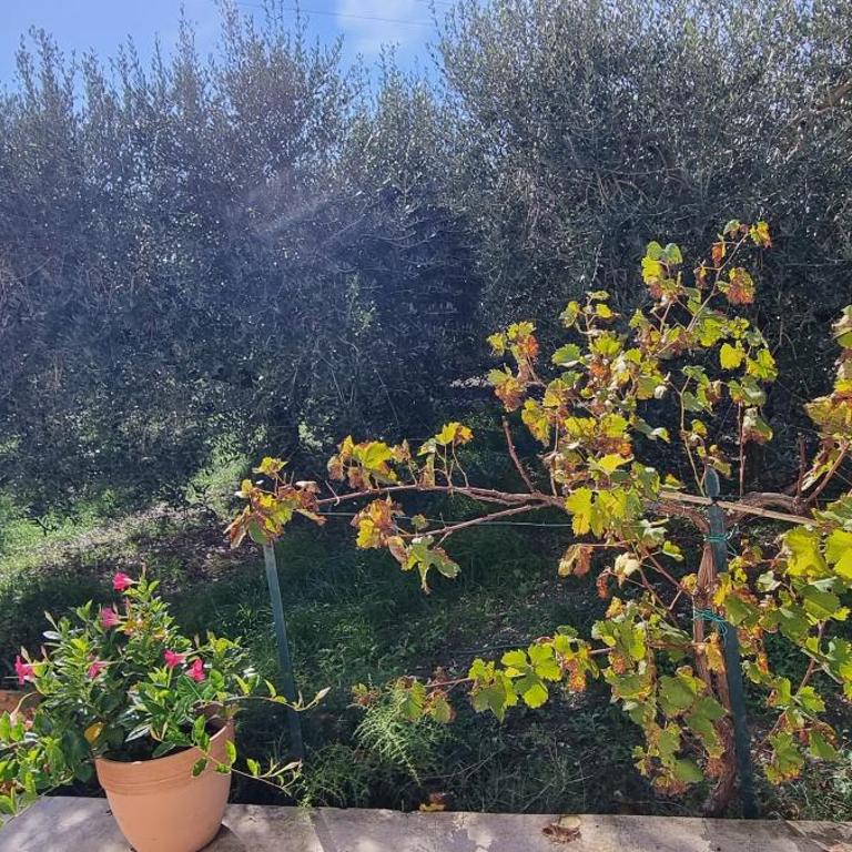Casa Primavera - Casa con 1 Camera da Letto - 11