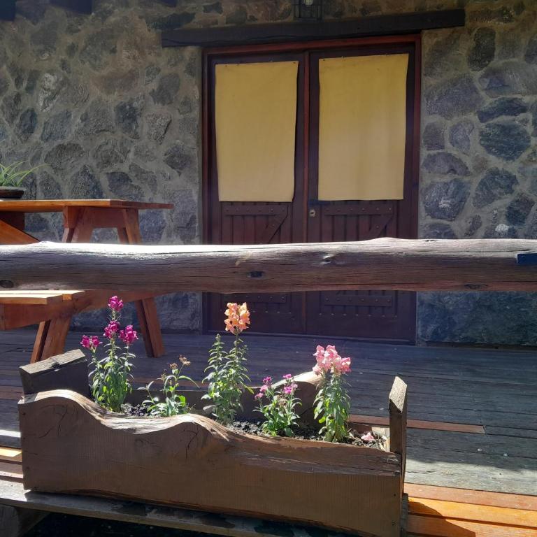 Aldea Las Calandrias - Casa - 14