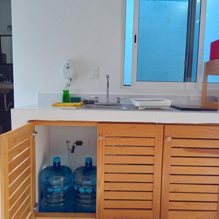 Estudio Coatí Azul en la Isla de Cozumel en el Caribe - Estudio con cama extragrande - 21