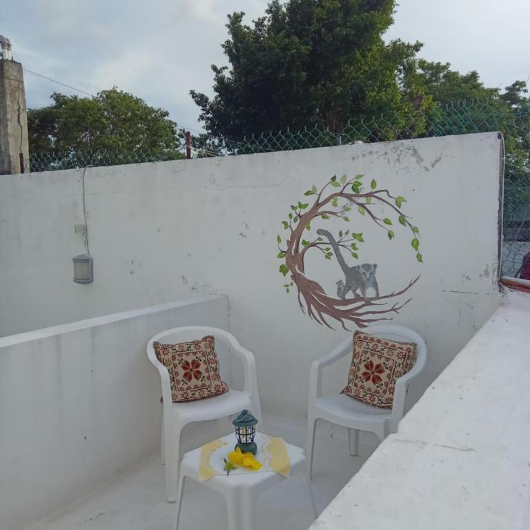 Estudio Coatí Azul en la Isla de Cozumel en el Caribe - Estudio con cama extragrande - 27