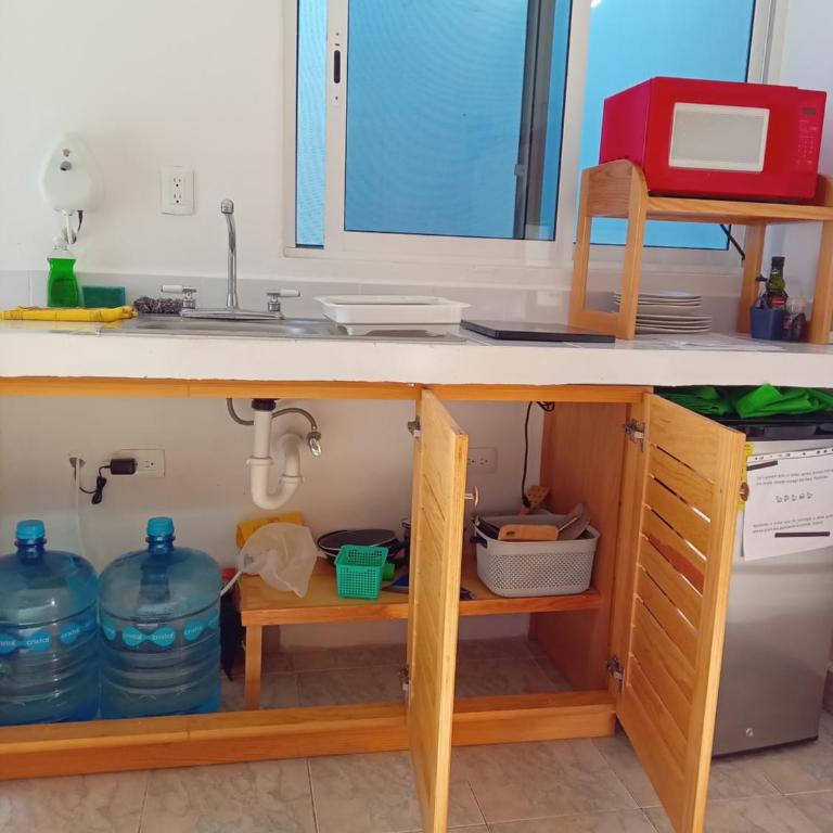 Estudio Coatí Azul en la Isla de Cozumel en el Caribe - Estudio con cama extragrande - 18
