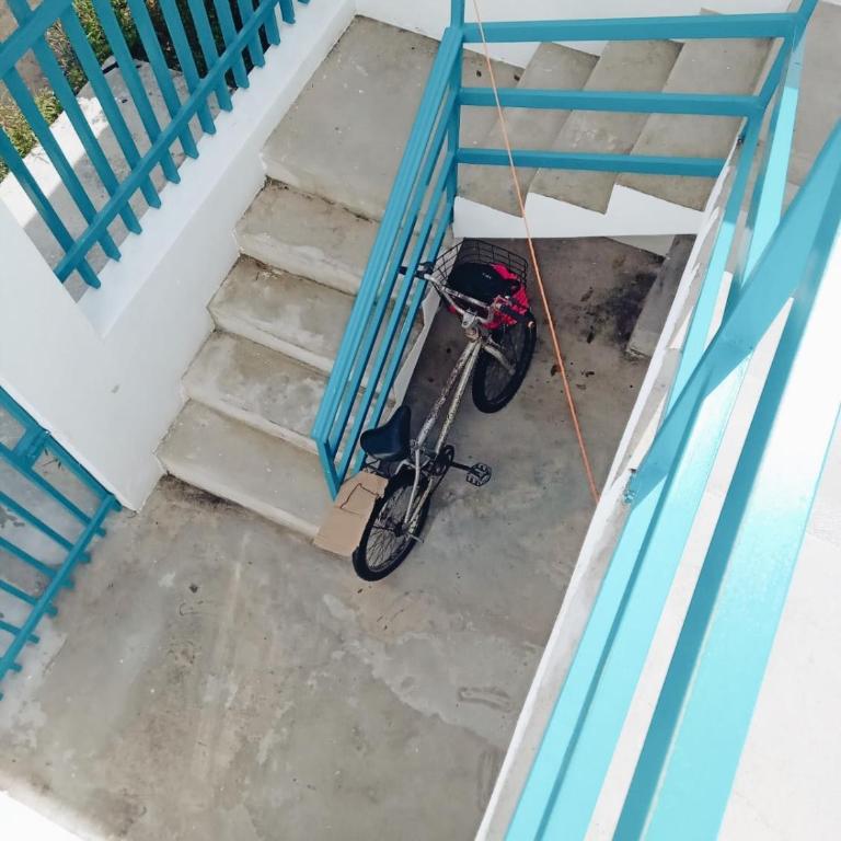 Estudio Coatí Azul en la Isla de Cozumel en el Caribe - Estudio con cama extragrande - 38