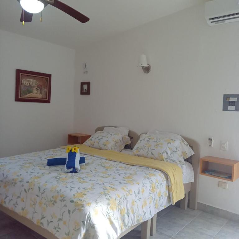 Estudio Coatí Azul en la Isla de Cozumel en el Caribe - Estudio con cama extragrande - 12