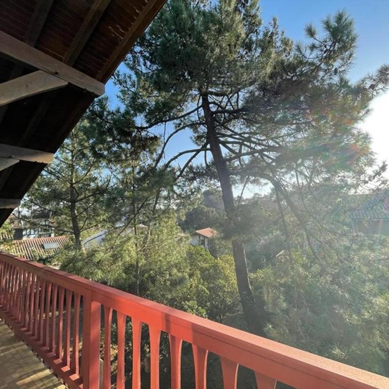Duplex spacieux 8 pers avec terrasse et parking, Capbreton - FR-1-413-249 - Appartamento - 12