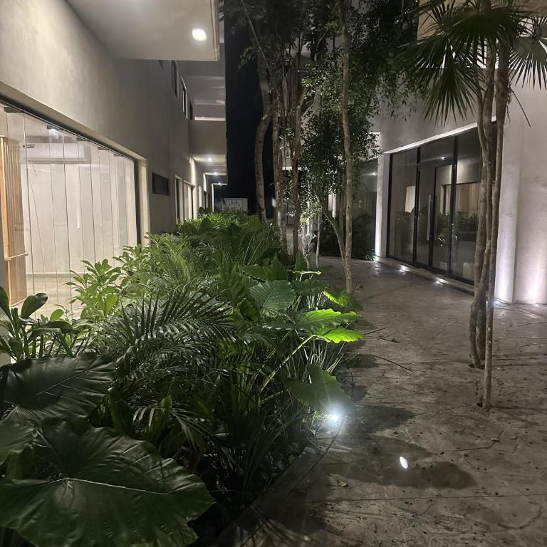 Green view - One-Bedroom Apartment - 3