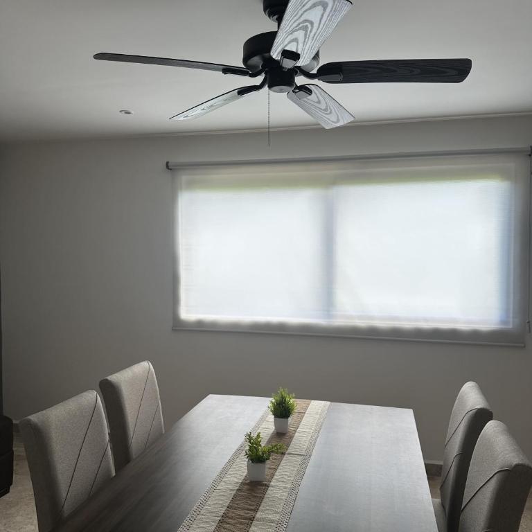 Green view - One-Bedroom Apartment - 25