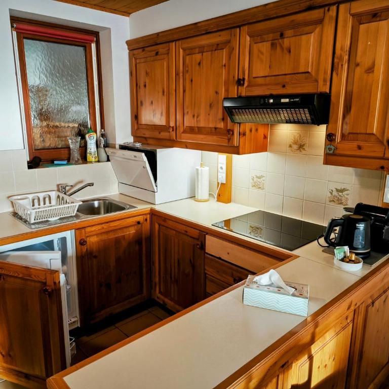 Panorama Apartment Gerlitzen - Apartment mit Balkon - 13
