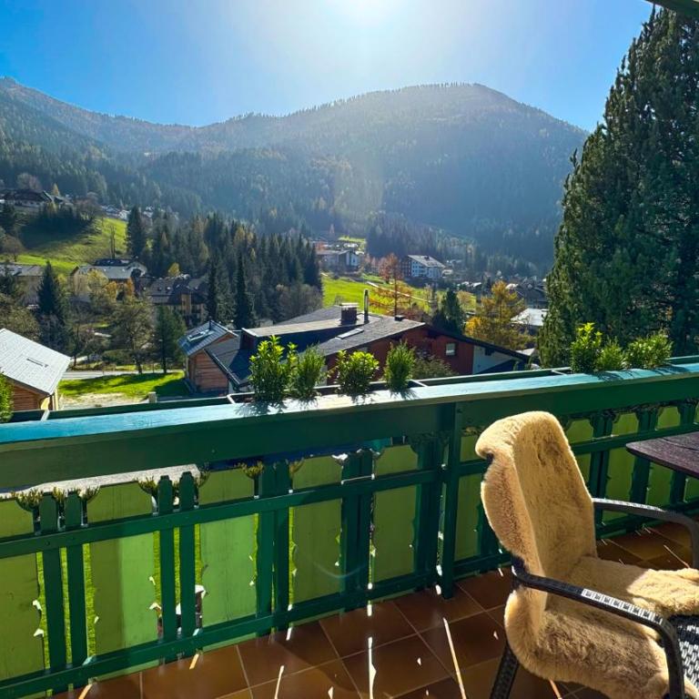 Landhaus Krenn - Apartment mit 1 Schlafzimmer und Aussicht - 1