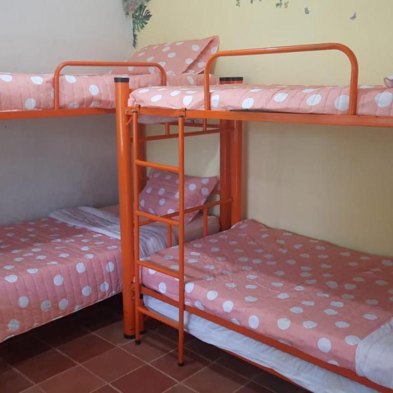 Finca Chévere - Three-Bedroom House - 6