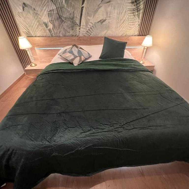 Esprit Palace, coeur de Mulhouse - Apartment mit 1 Schlafzimmer - 4