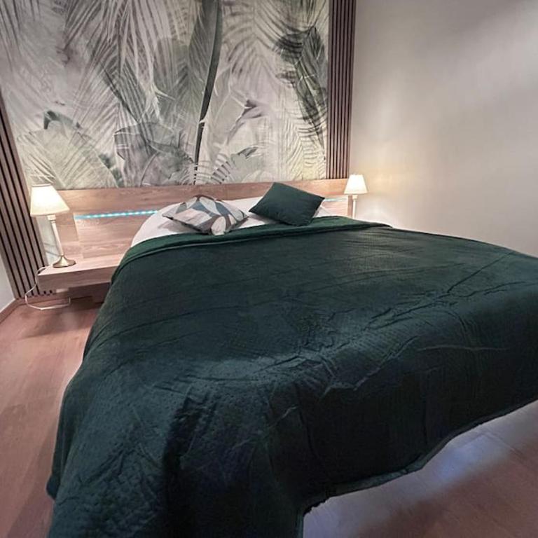 Esprit Palace, coeur de Mulhouse - Apartment mit 1 Schlafzimmer - 9