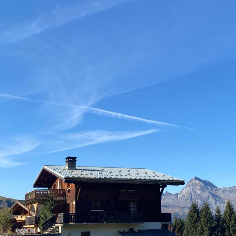 Les Georgières, 300m des pistes du Mont-Rond - Two-Bedroom Apartment with Balcony and Terrace - 30