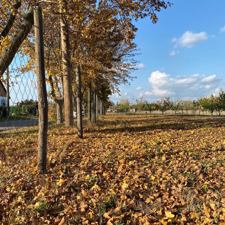 Altiora - Kuća sa 1 Spavaćom Sobom - 23