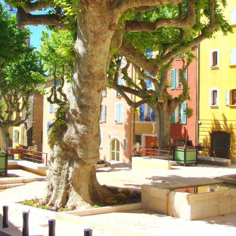 Entre Saint-Tropez et les gorges du Verdon. - Studio - 5