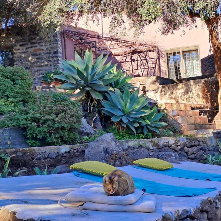 L'Aranceto - Casa con 4 camere da letto - 46