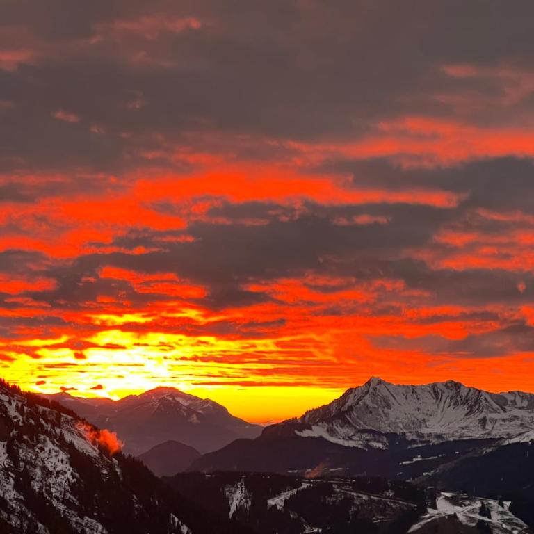 Logement Avoriaz T2 vue magnifique La Falaise - Apartment mit 1 Schlafzimmer - 8