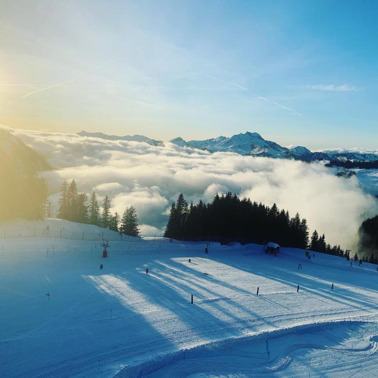 Logement Avoriaz T2 vue magnifique La Falaise - Apartment mit 1 Schlafzimmer - 10