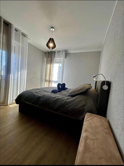 Appartement à 10 min de Strasbourg - Appartement 1 Chambre - 6