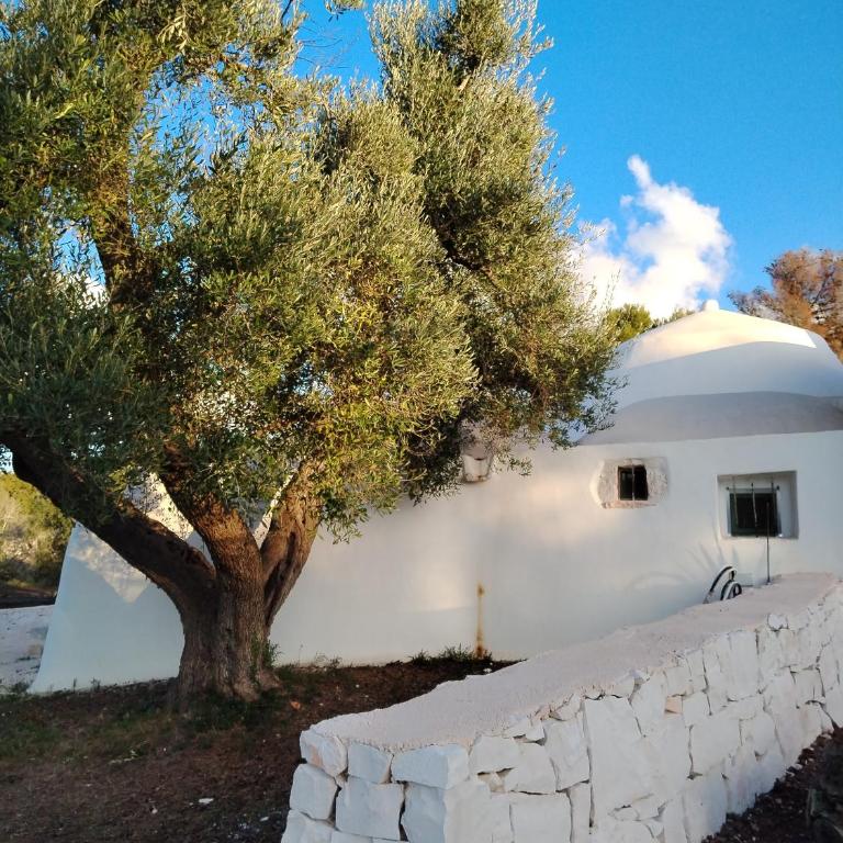 Trullo Amedee - Casa con 2 Camere da Letto - 33