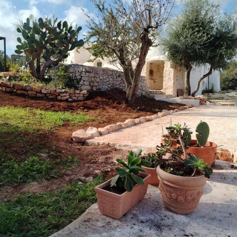Trullo Amedee - Casa con 2 Camere da Letto - 34
