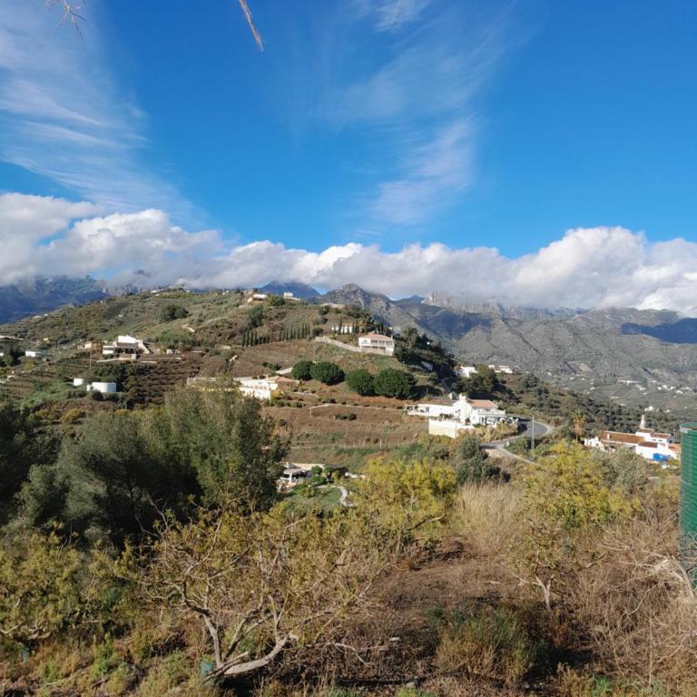 Casa los Limones Torrox - Casa con 1 dormitorio - 22