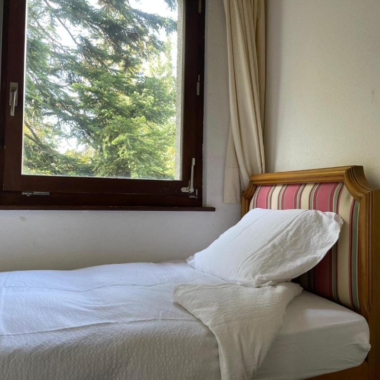 The Vintage at Crans-Montana - Appartement-Studio avec 1 Lit Double - 10